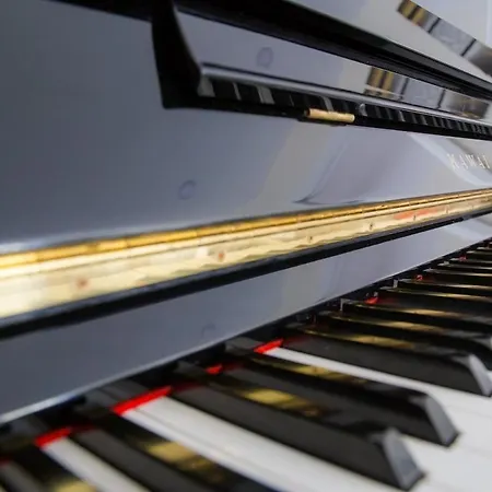 דירה Luxueux Entier 3 ניס