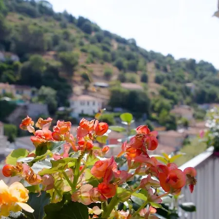 Luxueux Entier 3 Nice